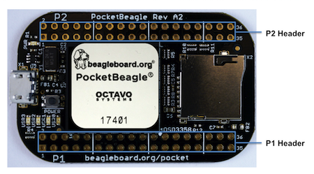 PocketBeagle Expansion Headers
